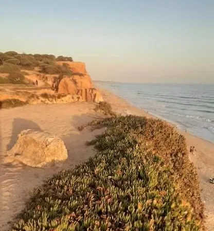 Alfamar V3 Falesia Beach *