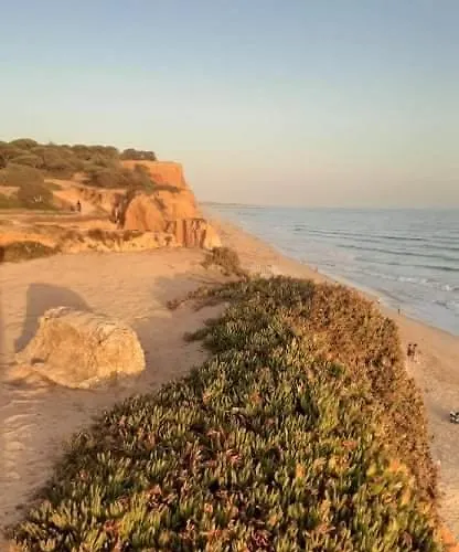 Alfamar V3 Falésia Beach *